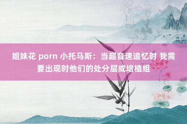 姐妹花 porn 小托马斯：当超音速追忆时 我需要出现时他们的处分层或培植组
