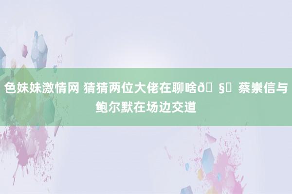 色妹妹激情网 猜猜两位大佬在聊啥🧐蔡崇信与鲍尔默在场边交道