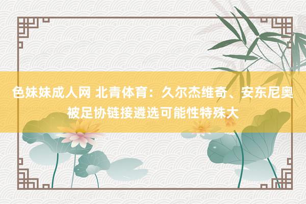 色妹妹成人网 北青体育：久尔杰维奇、安东尼奥被足协链接遴选可能性特殊大